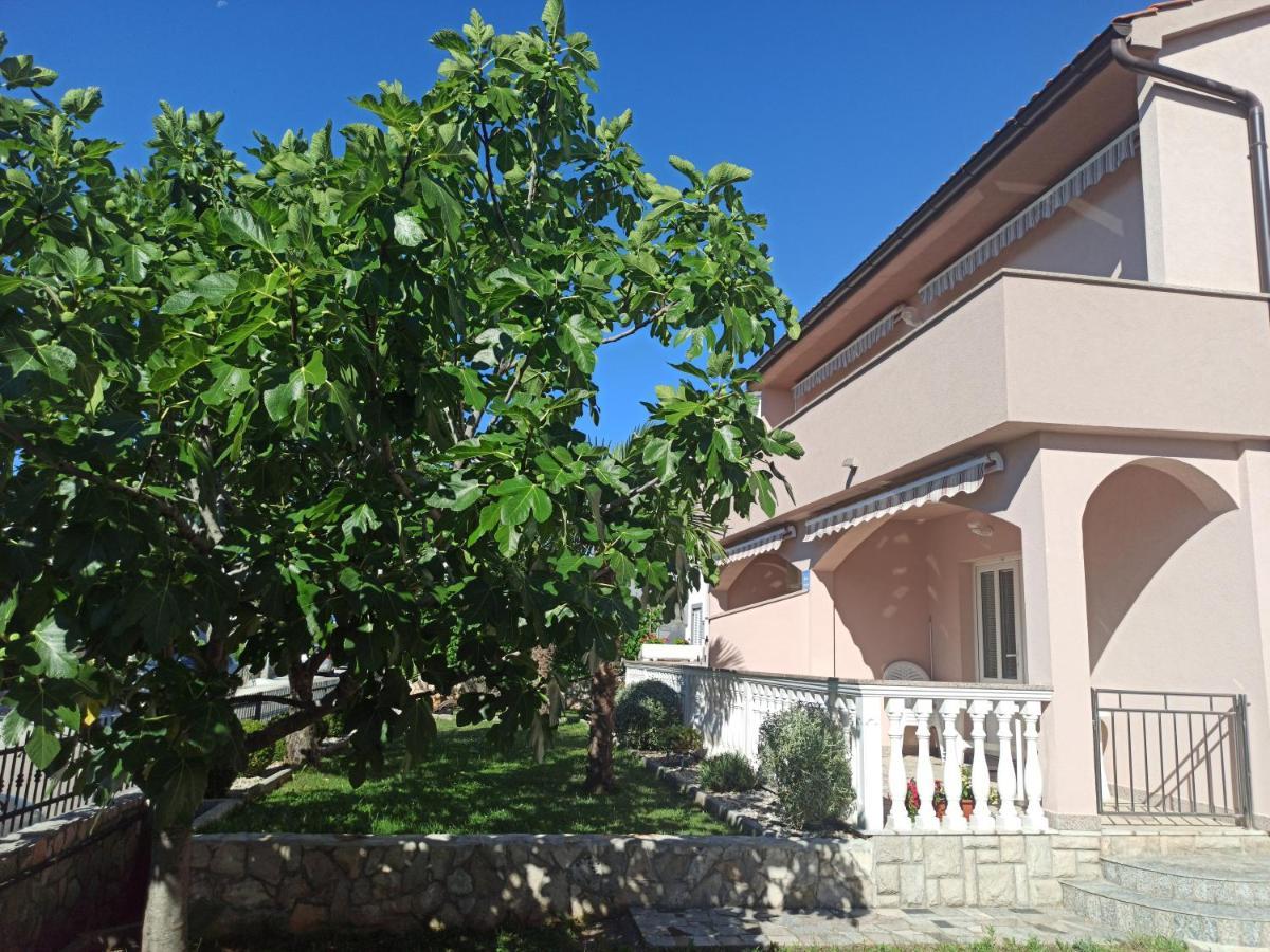 Apartmani Vesna كرك المظهر الخارجي الصورة